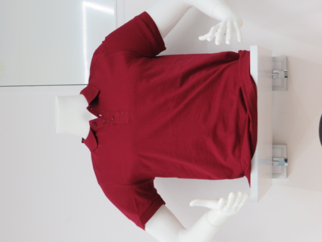 Koszulka męska (Turecki produkt) Roz S-2XL Paczka 5 szt 1 kolor