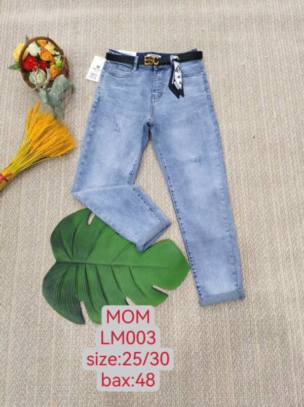 Spodnie damskie jeansy Roz 25-30, 1 kolor Paczka 12 szt