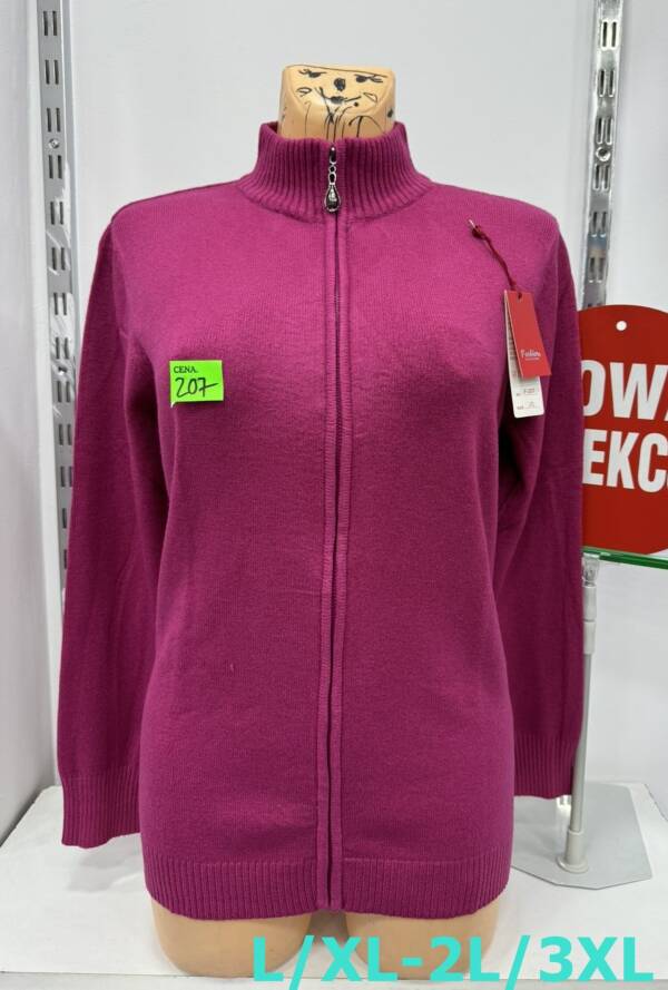 Bluza damskie Roz L/XL-2XL/3XL. 1 Kolor, Paszka 10 szt