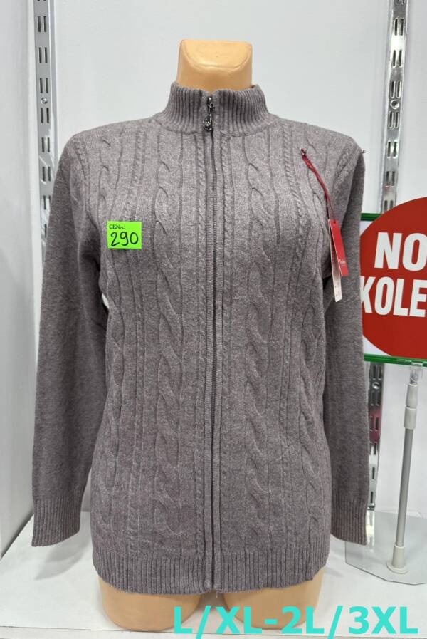 Bluza damskie Roz L/XL-2XL/3XL. 1 Kolor, Paszka 10 szt